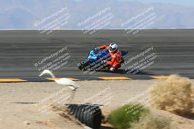 media/Jan-14-2024-SoCal Trackdays (Sun) [[2e55ec21a6]]/Bowl (11am)/